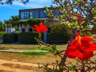 Casa Relax Acqua Marina Apartment Favignana Exterior foto